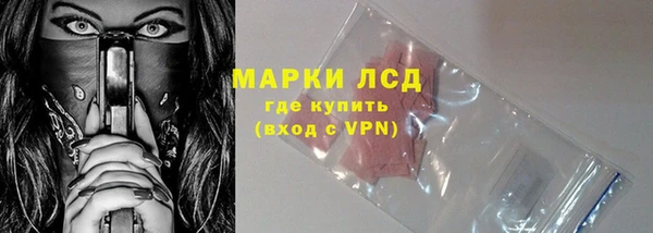 индика Белоозёрский