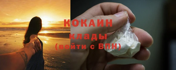 индика Белоозёрский
