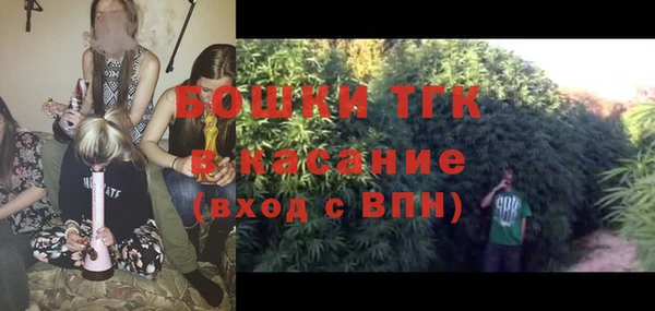 индика Белоозёрский
