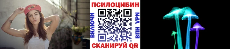 мориарти телеграм  hydra вход  Наволоки  Псилоцибиновые грибы мухоморы 